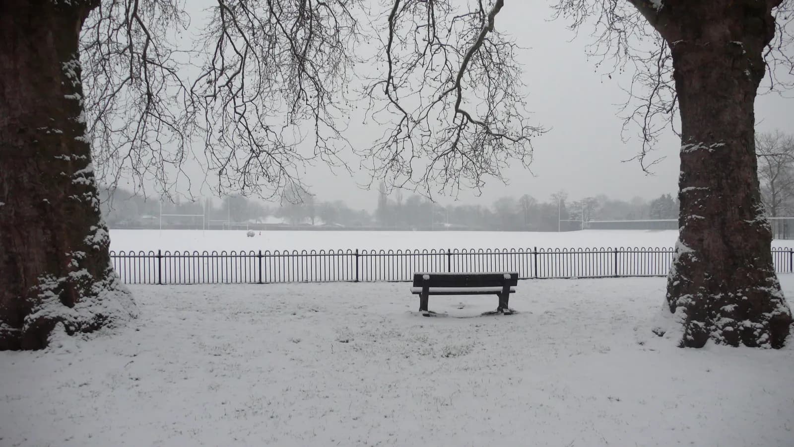 Hurlingham Club: Where Polo Was Born and Royals Play